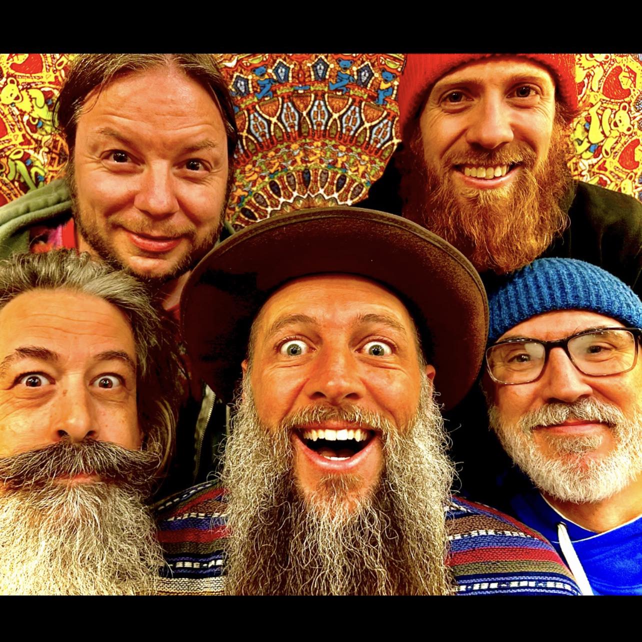 Grateful Dads performing live